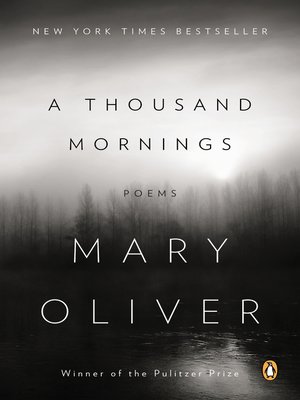 cover image of A Thousand Mornings